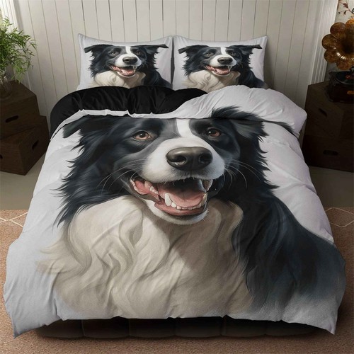 Border collie dog - border,