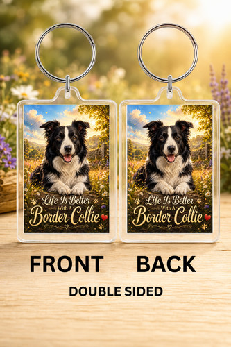Border collie keyring - border, is