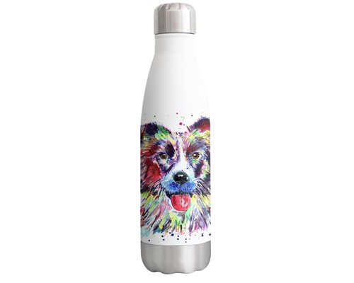 Border collie dog - border,