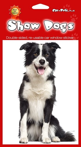 Border collie dog gift 2 - border,