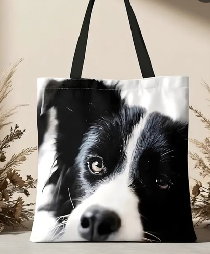 Border collie dog - border,