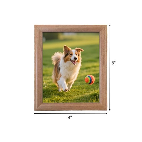 Collie dog picture christmas - picture,