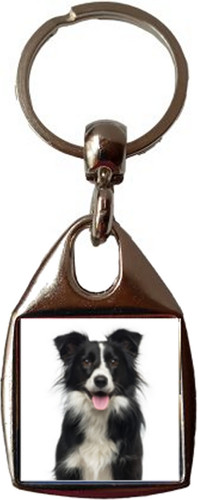 Collie dog black luxury square - collie,
