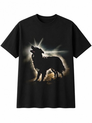 Double exposure border collie - border,