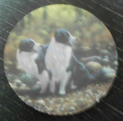 Border collie dog plate double - border,