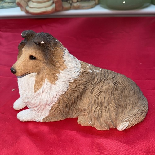 Collie dog sandicast - collie,