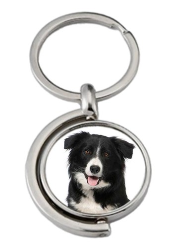 Collie dog pet spinning double - collie,