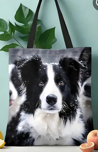 Border collie dog - border,