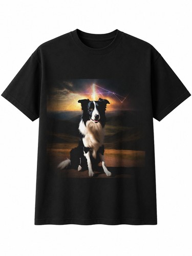 Double exposure border collie - exposure,