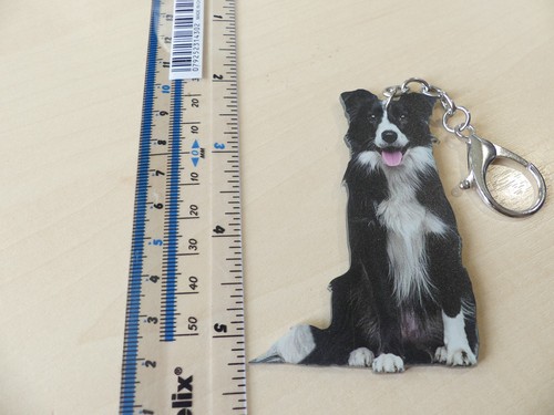 Border collie dog - collie, keyring
